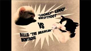 kittyfight.jpg