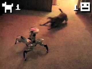 robovspuppy.jpg